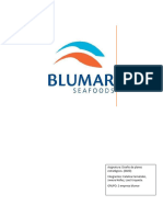 Diseño de Planes Estretegicos Empresa Blumar