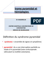 NRO TD6. Syndrome Pyramidal Et Hémiplégie (Diapo)