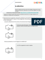 5.2. - Document de Treball - Reptes de Circuits Elèctrics