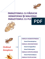 LP XI Parazitismul Cu pTŽ+óduchi Hematofagi + Źi Malofagi