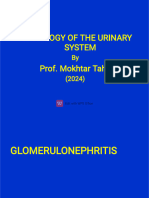 Renal Pathology-1 (Glomerulonephritis) - 2021