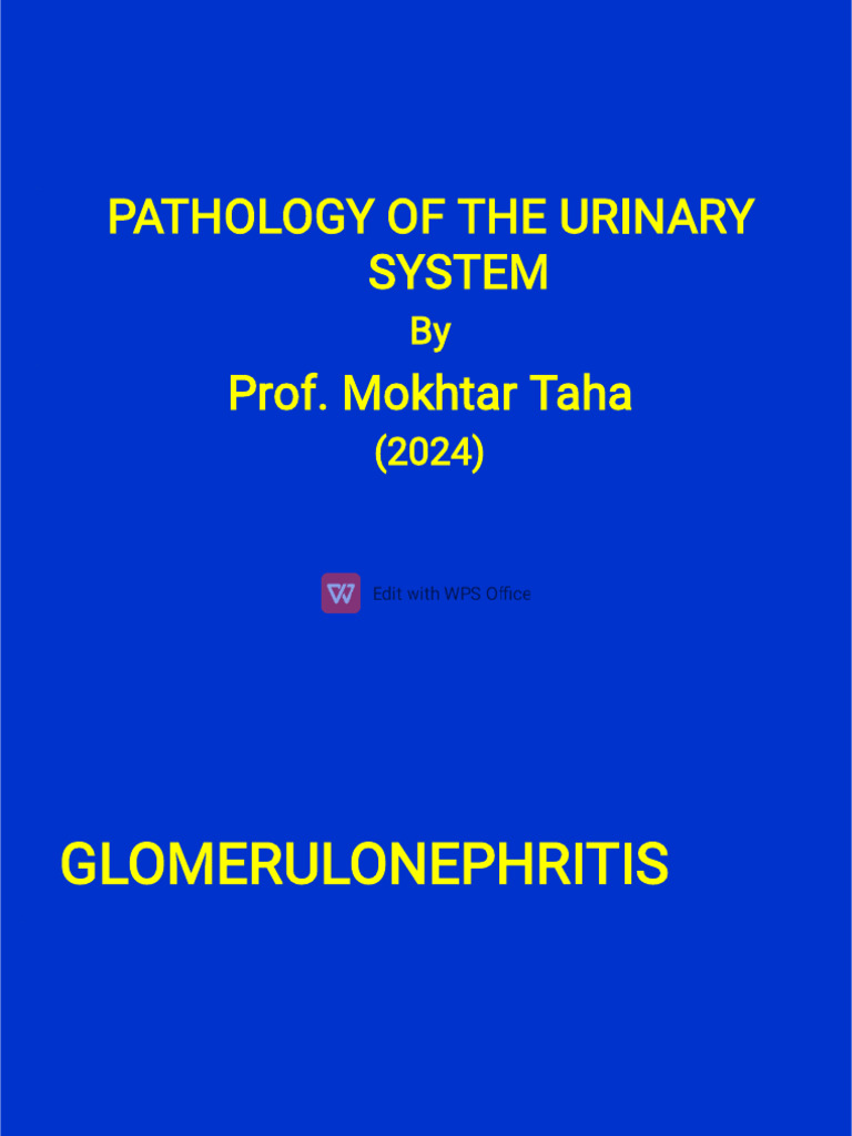 Glomerulonephritis Pathology Overview | PDF | Urinary System ...