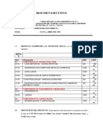 Resumen Ejecutivo Losa Santa Rita