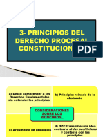 3- Principios Del Dpc