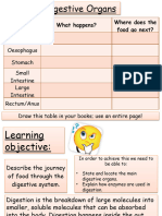 8A-6 Digestive Organs