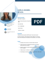 CV Carla Anabel Apaza