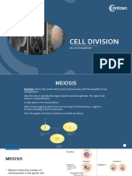 Cell Division - Meiosis