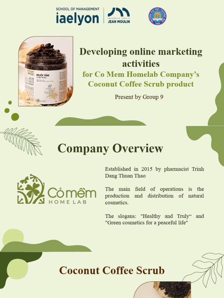 developing-online-marketing-activities-for-co-mem-homelab-company-s
