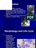 Leishmania Donovani