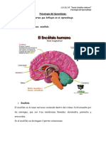 Psicologia Del Aprendizaje