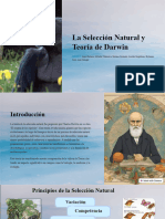 La Seleccion Natural y Teoria de DarwinN
