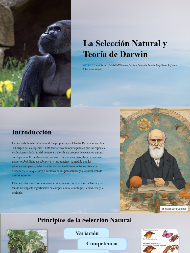 La Seleccion Natural y Teoria de DarwinN | PDF | Evolución | Seleccion ...