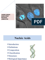 nucleic acid 