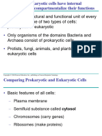 Cell3