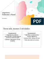 ciencias morfofuncionais sist. digestório, edócrino e renal 2