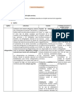 Guía 1, Neurotransmisores