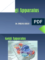 Golgi Apparatus Dr. Imrana Ihsan