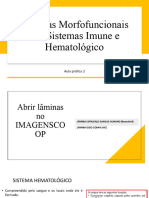 Ciencias Morfofuncionais Sist. Imune e Hematológico 2