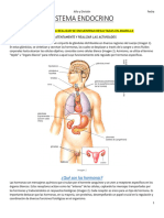 TP5 Sistema Endocrino