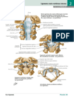 Ligaments Cranio-Vertébraux Internes
