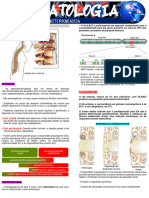 Espondiloartrites REUMATOLOGIA