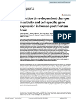 Selective Time-Dependent Changes in Activity and Cell-Specific Gene Expression in Human Postmortem Brain