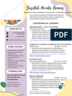 Curriculum CV Original Profesional Pastel