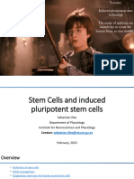 16 Stem Cells and iPSC - 2023 - Handout