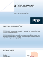 Sistema Respiratório_20240402_143642_0000