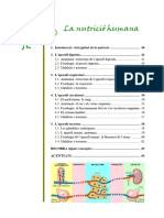 Dossier CCNN 3r ESPA 039