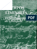 Cuerpos Liminales. La performatividad de la buÌsqueda_Ileana DieÌguez