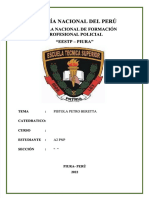 PDF Psitola Pietro Beretta Compress