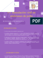 P5. Inoculación viral en embriones de pollo