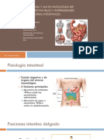 Dietoterapia_Patolog_as_del_tubo_digestivo_bajo_EII_SIC