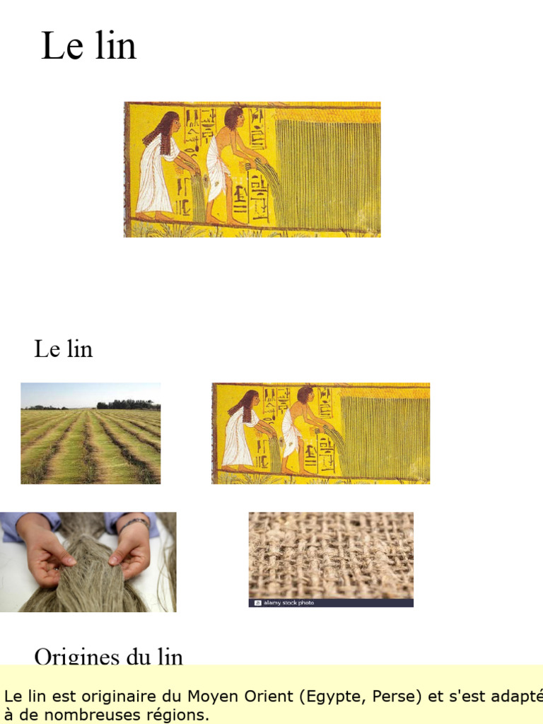 Propriétés et culture du lin | PDF | Lin cultivé | Les textiles