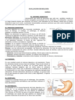 Evaluación Formativa Sistema Digestivo