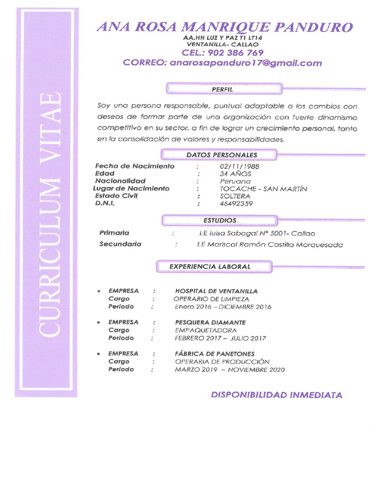 Perfil Laboral de Ana Rosa Manrique | PDF