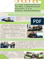 Infografia liderazgo policial