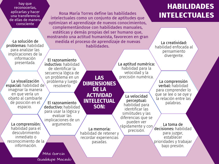 Habilidades Intelectuales | PDF | Aprendizaje | Pensamiento