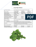 Vegetable Quick Growers Guide - Rape Hobson