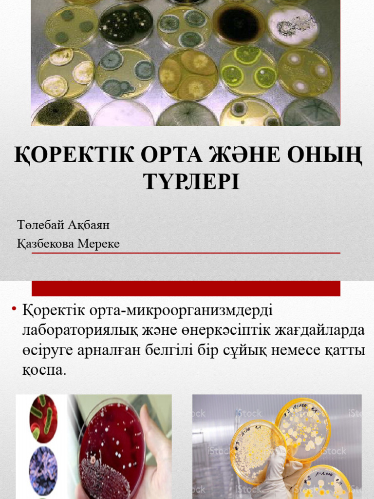 Алетта Мұхит және лас машина