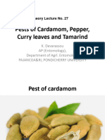 Theory Lecture No 27 Cardamom, Pepper, Curryleaves, Tamarind