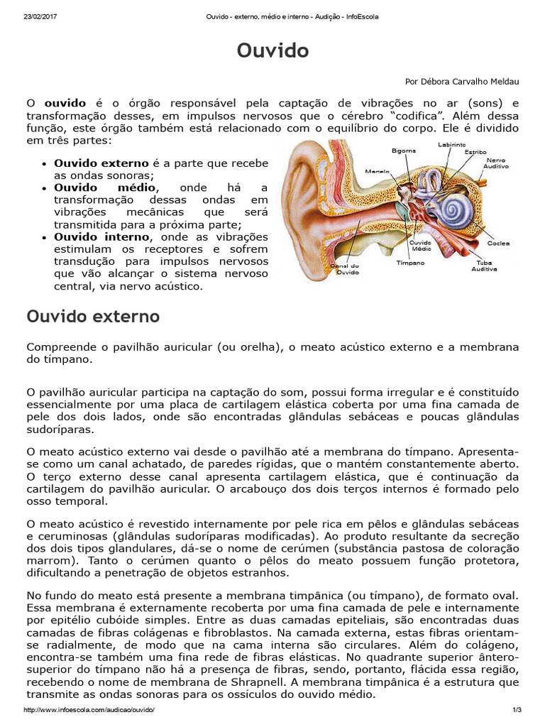 aula-4-a-ouvido-externo-m-dio-e-interno-audi-o-infoescola