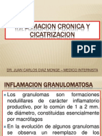 Ion Cronica y Reparacion