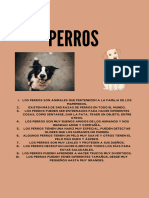 Perros