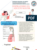 N 1-Respiratorio en Adultos Mayores (Grupo 7)