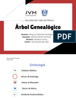 Arbol Genealogico