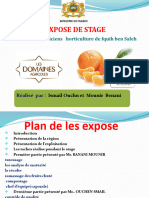 Exposé de Stage Banani Ochenb