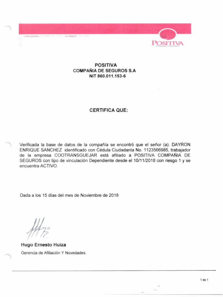 Afiliacion Arl | PDF