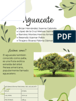 Aguacate ? 